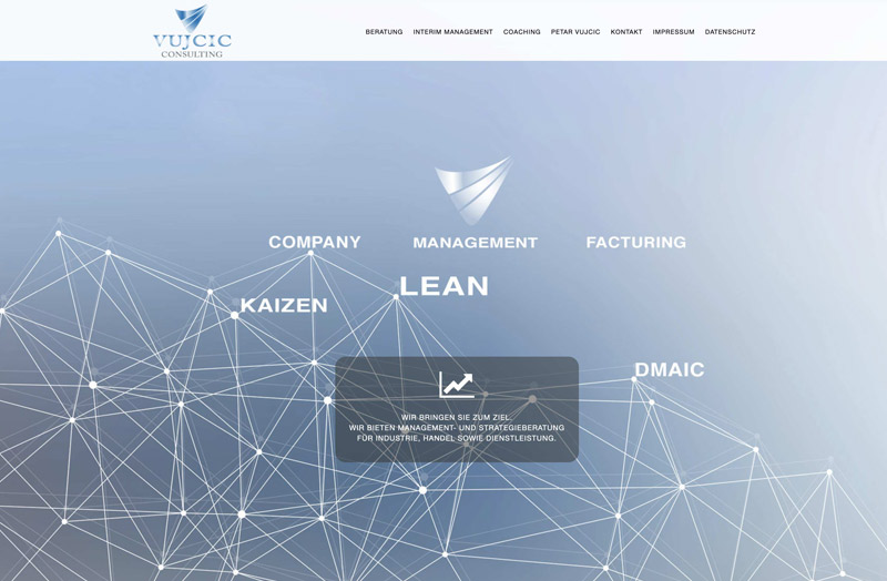 Vujcic Consulting Webssite Screenshot